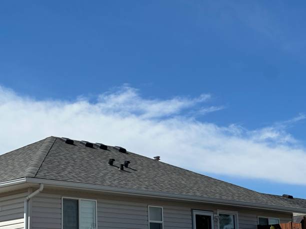 Best Metal Roofing Installation  in Wood River, NE